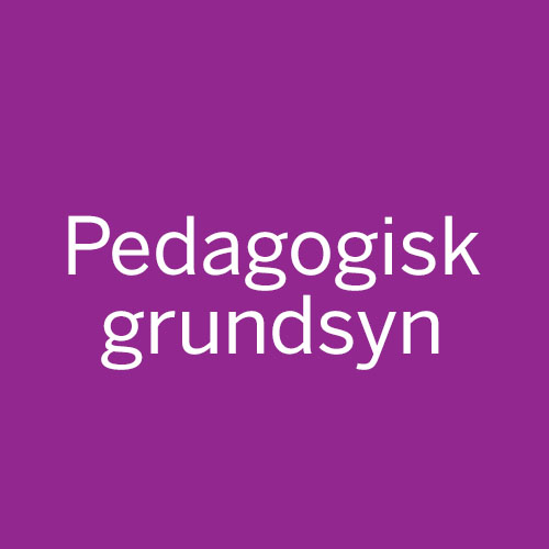 Pedagogisk grundsyn