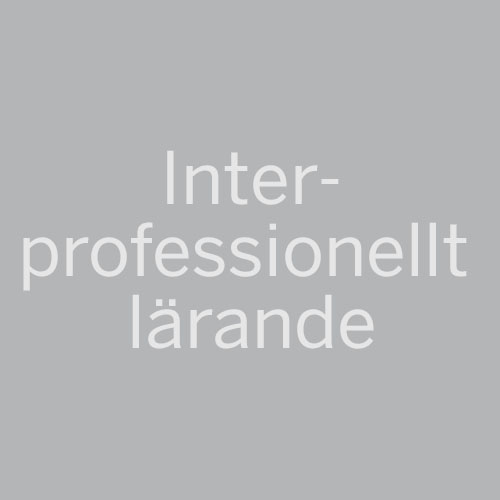 Interprofessionellt lärande