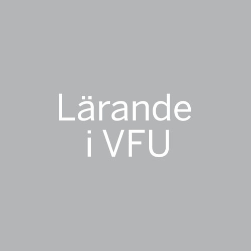 Lärande i VFU